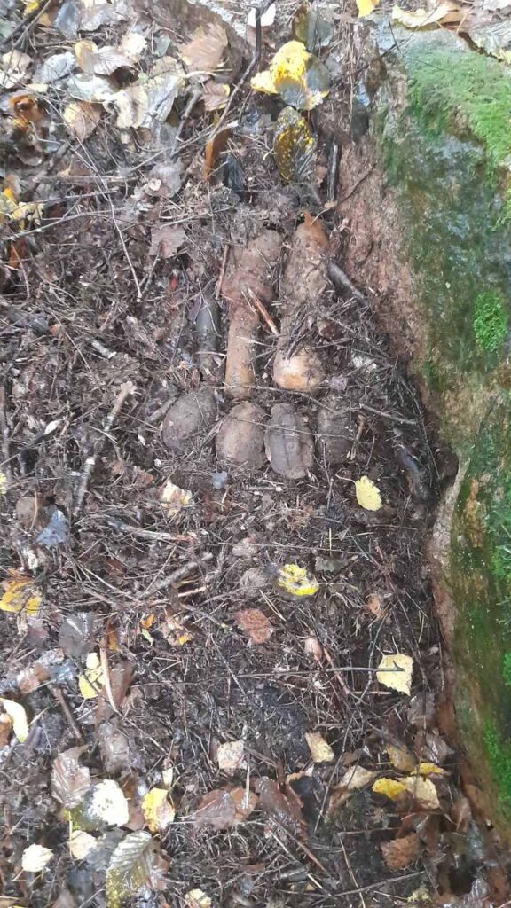 6 гранат времен ВОВ обнаружили в Свислочском районе