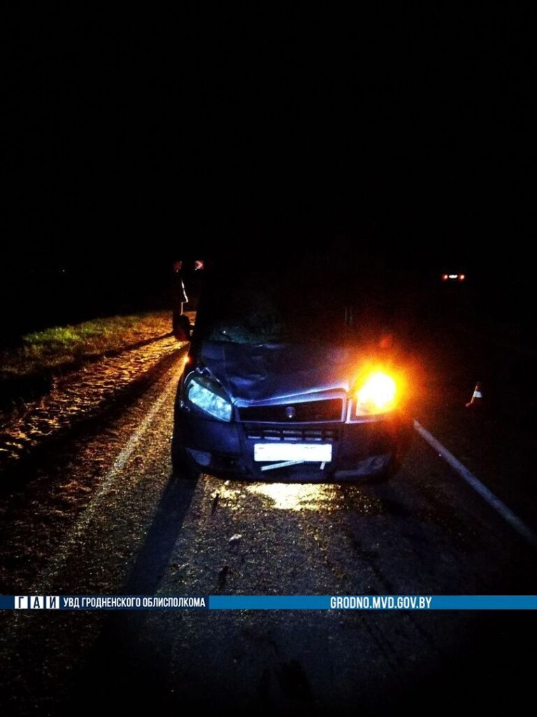 Мужчина выбежал за коровой на дорогу, сбиты оба