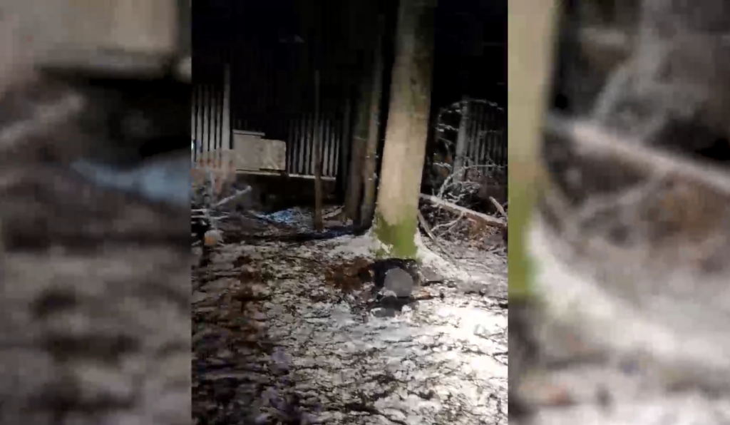 В субботу, 19 ноября, возле польского заграждения обнаружен труп беженца