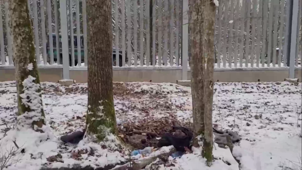 На границе с Польшей обнаружили очередной труп иностранца