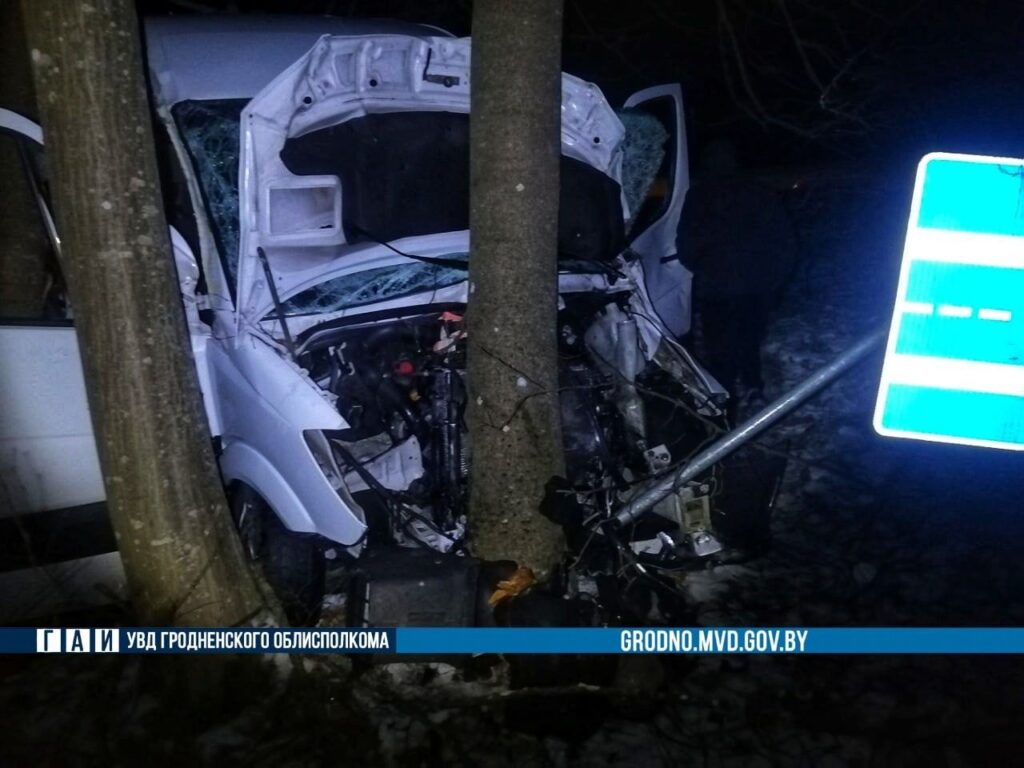 В Щучинском районе микроавтобус совершил наезд на дикое животное. В результате трое пострадавших